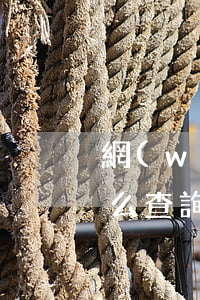 網(wǎng)貸逾期怎么查詢欠多少錢(怎么查詢哪個(gè)網(wǎng)貸逾期)