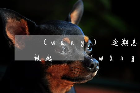 網(wǎng)貸逾期怎么查詢自己有沒有被起訴-網(wǎng)貸逾期怎么查詢自己有沒有被起訴呢
