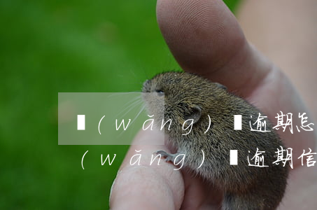 網(wǎng)貸逾期怎么消除不良記錄(網(wǎng)貸逾期信用記錄多久消除)