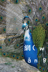 網(wǎng)貸逾期怎么炸通訊錄(網(wǎng)貸逾期爆通訊錄是怎么爆的)