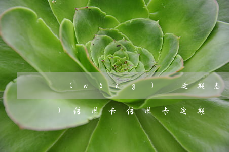 網(wǎng)貸逾期怎么申請(qǐng)信用卡（信用卡逾期網(wǎng)貸借不了怎么辦）