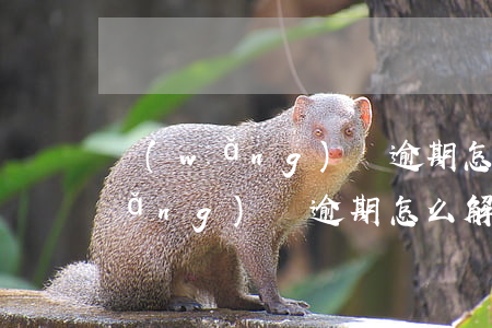 網(wǎng)貸逾期怎么申請強制(網(wǎng)貸逾期怎么解決)