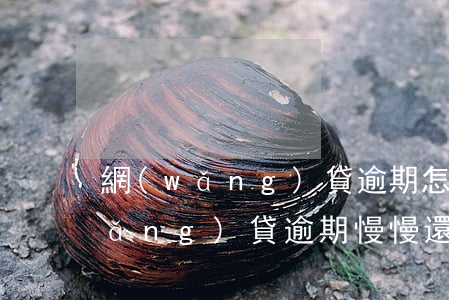 網(wǎng)貸逾期怎么申請暫緩(網(wǎng)貸逾期慢慢還可以嗎)