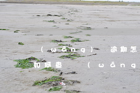 網(wǎng)貸逾期怎么看對方起訴沒有(如何查詢網(wǎng)貸逾期是否被起訴)