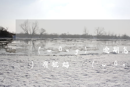 網(wǎng)貸逾期怎么看有沒(méi)有被起訴（網(wǎng)貸逾期被起訴了在哪里查）