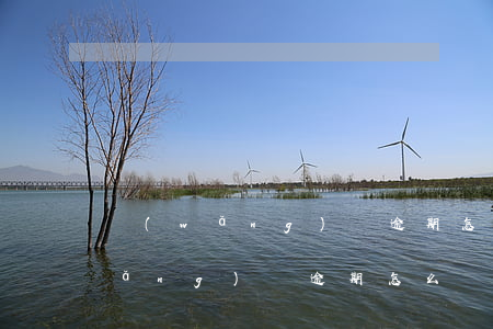 網(wǎng)貸逾期怎么維護自己(網(wǎng)貸逾期怎么還款可靠)