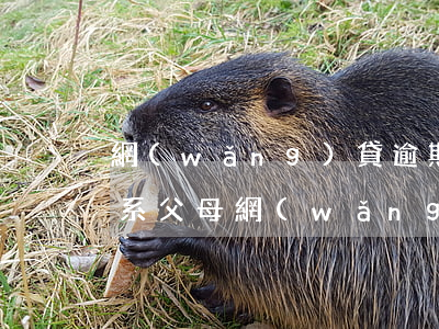 網(wǎng)貸逾期怎么聯(lián)系父母(網(wǎng)貸沒(méi)有逾期打親屬電話)