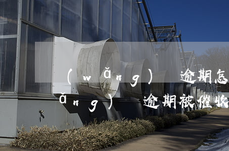 網(wǎng)貸逾期怎么處理催賬(網(wǎng)貸逾期被催收怎么辦)