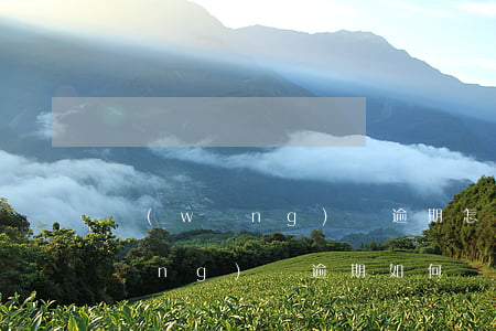 網(wǎng)貸逾期怎么處理最好(網(wǎng)貸逾期如何處理比較好)