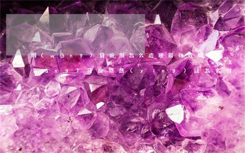 網(wǎng)貸逾期怎么處理最有效(網(wǎng)貸逾期應(yīng)該怎么辦)