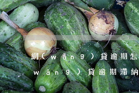 網(wǎng)貸逾期怎么處理滯納金(網(wǎng)貸逾期滯納金法律規(guī)定)