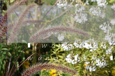 網(wǎng)貸逾期怎么處理還不上(網(wǎng)貸逾期了暫時(shí)還不上怎么辦)