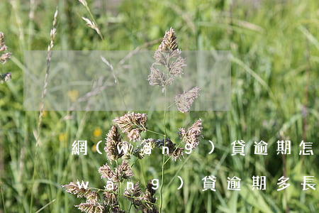 網(wǎng)貸逾期怎么解決通訊錄(網(wǎng)貸逾期多長時間爆通訊錄)