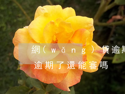 網(wǎng)貸逾期怎么買摩托車(摩托車逾期了還能審嗎)