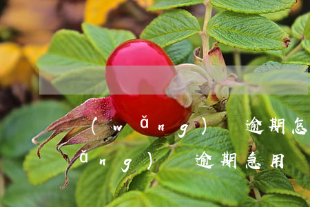 網(wǎng)貸逾期怎么貸得到錢(網(wǎng)貸逾期急用錢怎么辦)