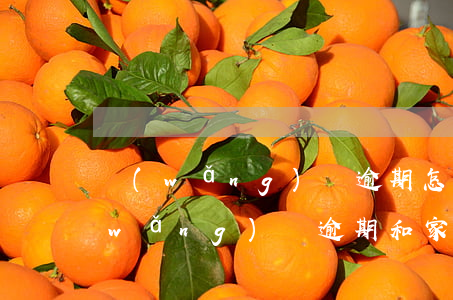 網(wǎng)貸逾期怎么跟家人坦白(網(wǎng)貸逾期和家人坦白)