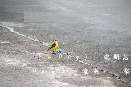 網(wǎng)貸逾期怎么跟家人說(網(wǎng)貸逾期會給家人打電話嗎)