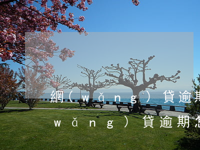 網(wǎng)貸逾期怎么辦2018(網(wǎng)貸逾期怎么辦2018)
