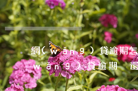 網(wǎng)貸逾期怎么辦會坐牢嗎(網(wǎng)貸逾期沒還會不會坐牢)