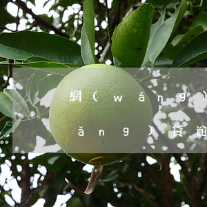 網(wǎng)貸逾期怎么辦比較好(網(wǎng)貸逾期怎么處理比較好)