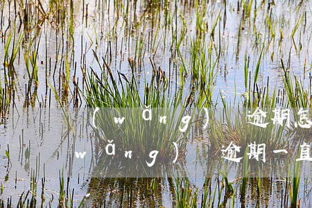 網(wǎng)貸逾期怎么辦還不起了 網(wǎng)貸逾期一直還不上怎么辦