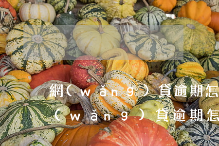網(wǎng)貸逾期怎么通過律師解決(網(wǎng)貸逾期怎么通過律師解決)