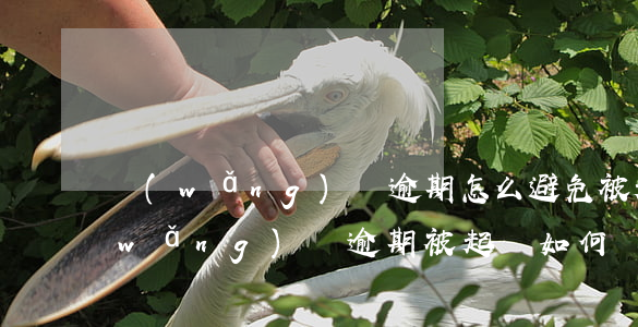 網(wǎng)貸逾期怎么避免被起訴 網(wǎng)貸逾期被起訴如何應(yīng)訴