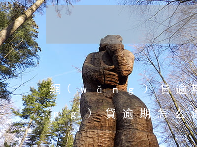 網(wǎng)貸逾期怎么還本金(網(wǎng)貸逾期怎么還本金)