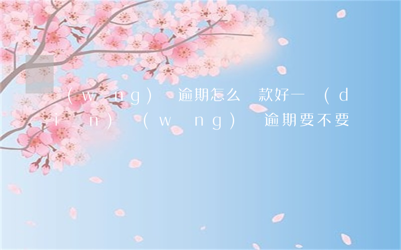 網(wǎng)貸逾期怎么還款好一點(diǎn)(網(wǎng)貸逾期要不要還)