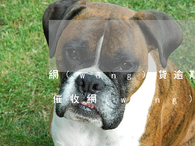 網(wǎng)貸逾期怎么面對(duì)催收（網(wǎng)貸逾期前期怎么面對(duì)）
