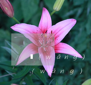 網(wǎng)貸逾期怎樣和家里人解釋(網(wǎng)貸逾期給家里人打電話了,我該怎么辦呢)