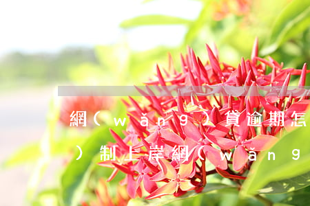 網(wǎng)貸逾期怎樣強(qiáng)制上岸(網(wǎng)貸要逾期了怎么辦)