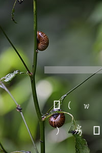 網(wǎng)貸逾期怎樣才能買(mǎi)房(網(wǎng)貸逾期怎么買(mǎi)房)