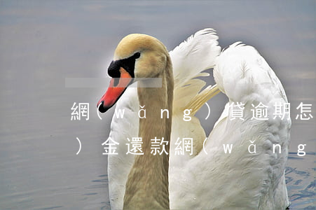 網(wǎng)貸逾期怎樣用現(xiàn)金還款(網(wǎng)貸逾期怎樣用現(xiàn)金還款呢)