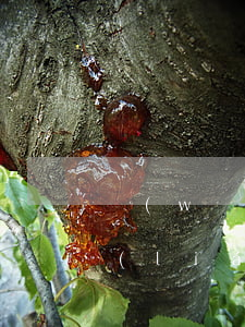網(wǎng)貸逾期怎樣避免騷擾緊急聯(lián)系人-網(wǎng)貸逾期怎樣避免騷擾緊急聯(lián)系人電話