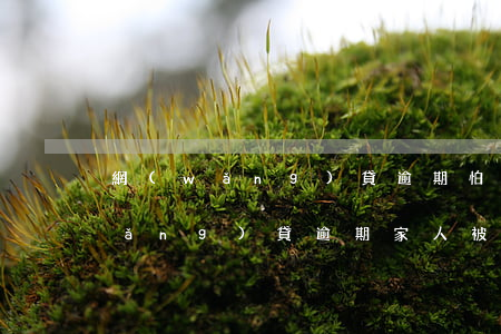 網(wǎng)貸逾期怕家里人知道(網(wǎng)貸逾期家人被騷擾怎么辦)