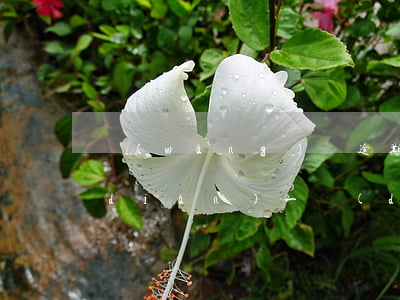 網(wǎng)貸逾期怕起訴能不能一點(diǎn)一點(diǎn)還-網(wǎng)貸逾期怕起訴能不能一點(diǎn)一點(diǎn)還清