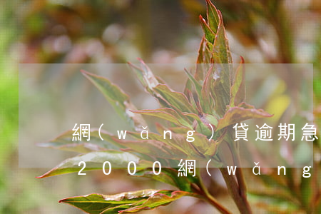網(wǎng)貸逾期急需2000元(欠了2000網(wǎng)貸逾期了會(huì)怎么樣)