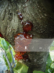 網(wǎng)貸逾期恐嚇違法嗎(網(wǎng)貸惡意逾期后果)