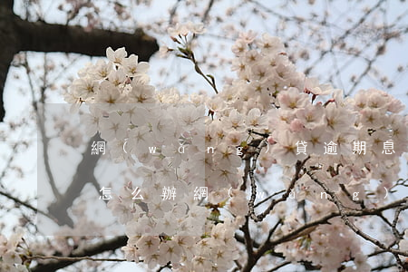 網(wǎng)貸逾期息費(fèi)太高怎么辦(網(wǎng)貸逾期息費(fèi)太高怎么辦)
