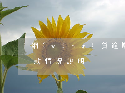 網(wǎng)貸逾期情況說明模板(逾期貸款情況說明)