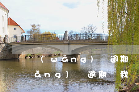網(wǎng)貸逾期惡意拖欠詐騙(網(wǎng)貸逾期說我詐騙立案起訴)