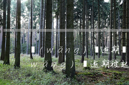 網(wǎng)貸逾期惡意申訴的后果(網(wǎng)貸逾期被起訴怎么辦?)