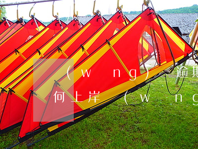 網(wǎng)貸逾期應(yīng)該如何上岸(網(wǎng)貸逾期應(yīng)該如何上岸)