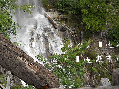 網(wǎng)貸逾期我可以報案嗎(網(wǎng)貸逾期可以報警嗎)