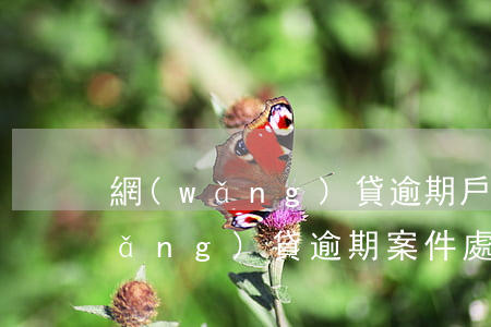 網(wǎng)貸逾期戶籍部門立案(網(wǎng)貸逾期案件處理中心)