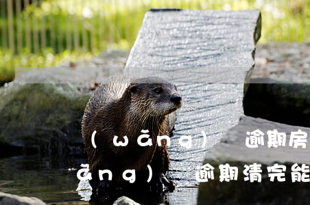 網(wǎng)貸逾期房子還款流程(網(wǎng)貸逾期清完能房貸嗎)