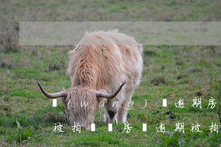 網(wǎng)貸逾期房產(chǎn)會被拍賣嗎(房貸逾期被拍賣后反而賺錢了)