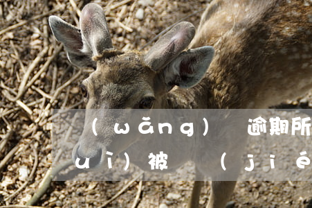 網(wǎng)貸逾期所有銀行卡都會(huì)被凍結(jié)嗎-網(wǎng)貸逾期所有銀行卡都會(huì)被凍結(jié)嗎怎么辦