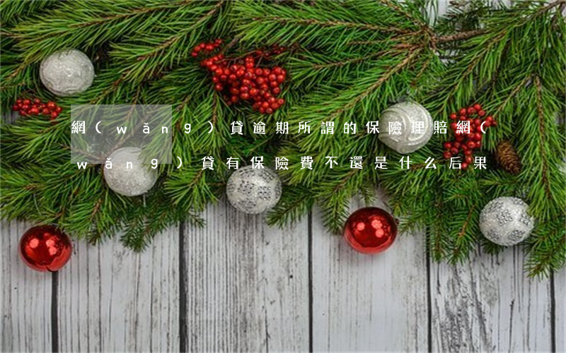 網(wǎng)貸逾期所謂的保險理賠(網(wǎng)貸有保險費不還是什么后果)